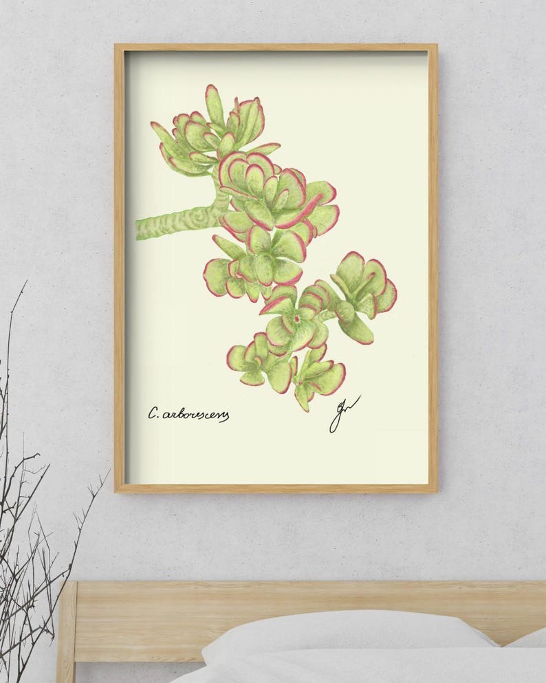 Jade print in a wooden framed print above a bed