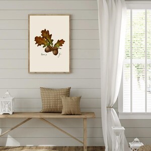Quercus print hanging on a wooden cabin wall above a bench with two brown pillows