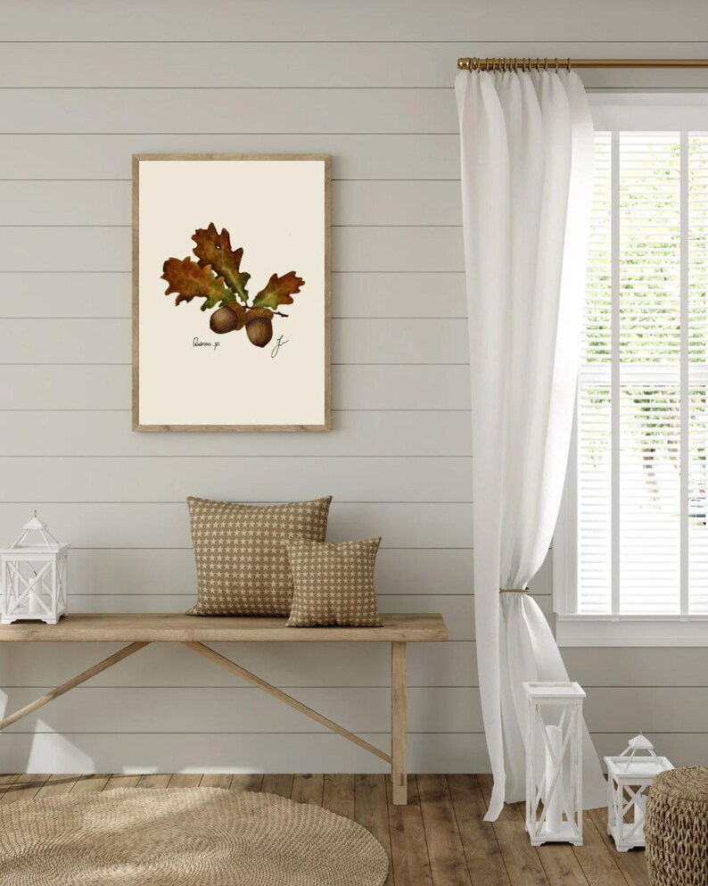 Quercus print hanging on a wooden cabin wall above a bench with two brown pillows