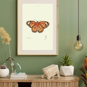 Monarch print in a wooden frame with white passpartout hanging on a green wall above the dresser