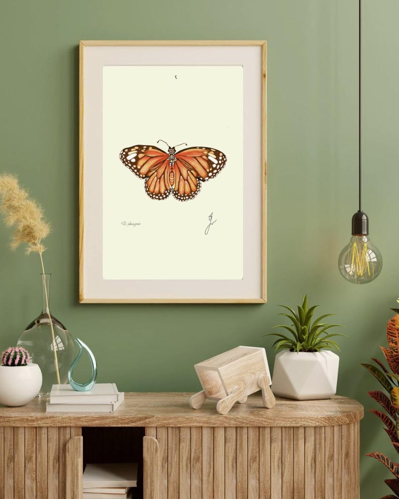 Monarch print in a wooden frame with white passpartout hanging on a green wall above the dresser
