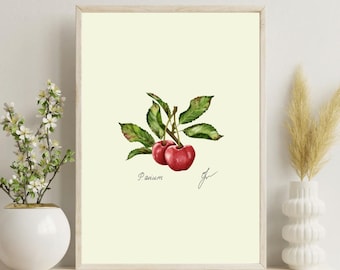 Cherry Botanical Illustration Print: Vintage Kitchen Wall Art (Digital Download)