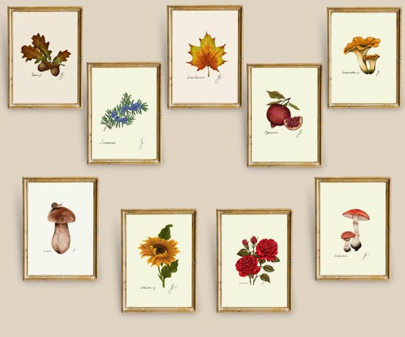 Autumn Botanical Print Set: Fall Gallery Wall Art (Digital Download)