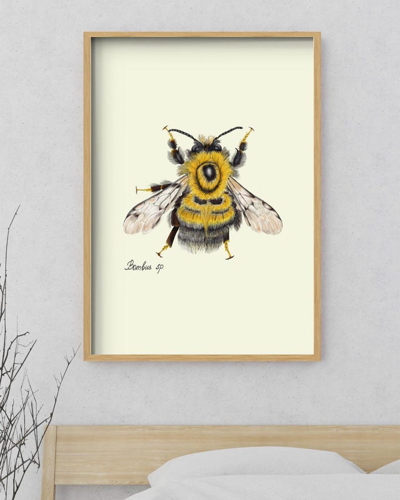Bumblebee print in a wooden framed print above a bed