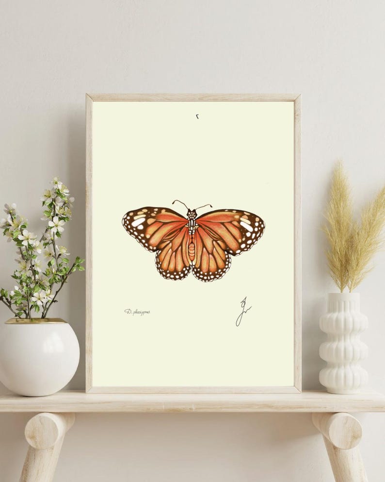 Monarch print on a white shelf next to two white vases and a white background