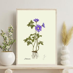 Anemone Flower Print | Vintage Botanical Wall Art | Digital Download | Home Decor | Gallery Wall Art | Printable Illustration | Gift for Her