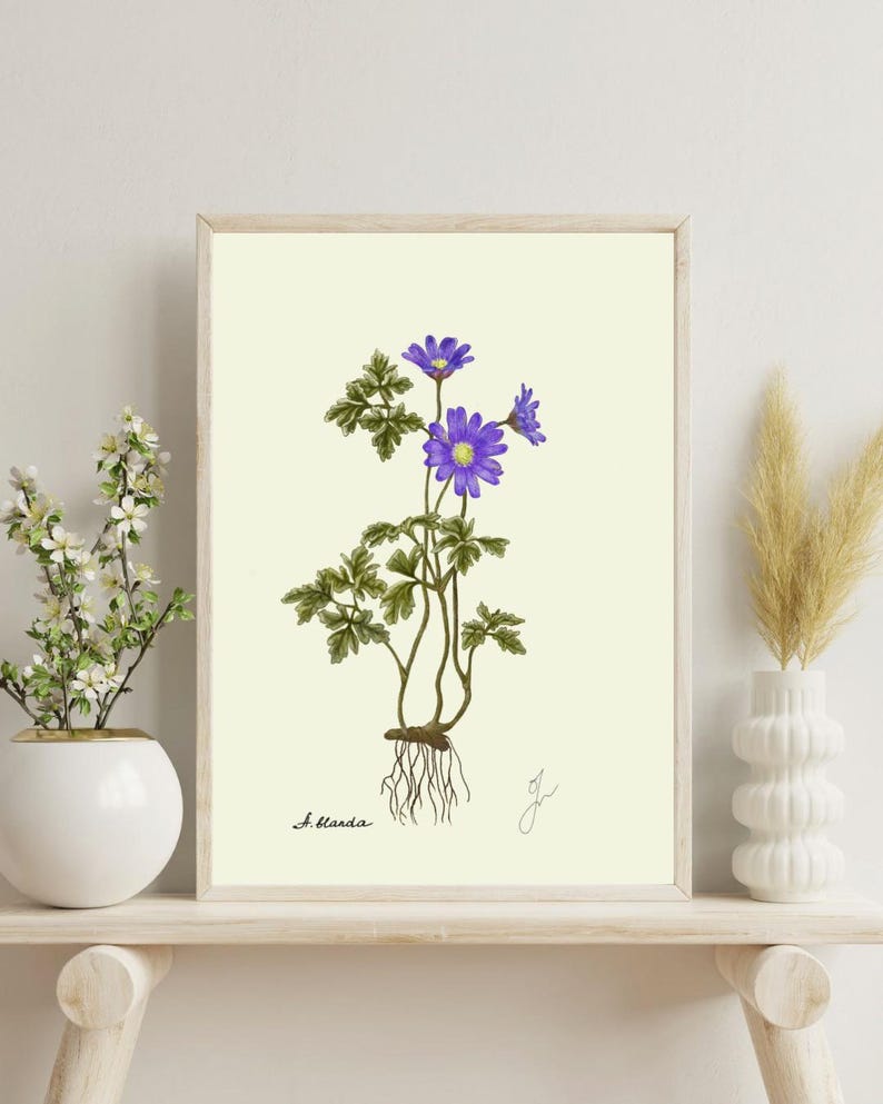 Anemone print on a white shelf next to two white vases and a white background