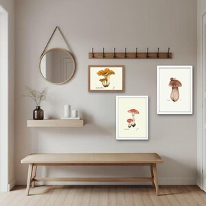 Mushroom Prints: Botanical Fungi Art, Forager Kitchen Decor (Digital Download) image 5