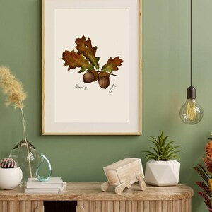 Quercus print in a wooden frame with white passpartout hanging on a green wall above the dresser