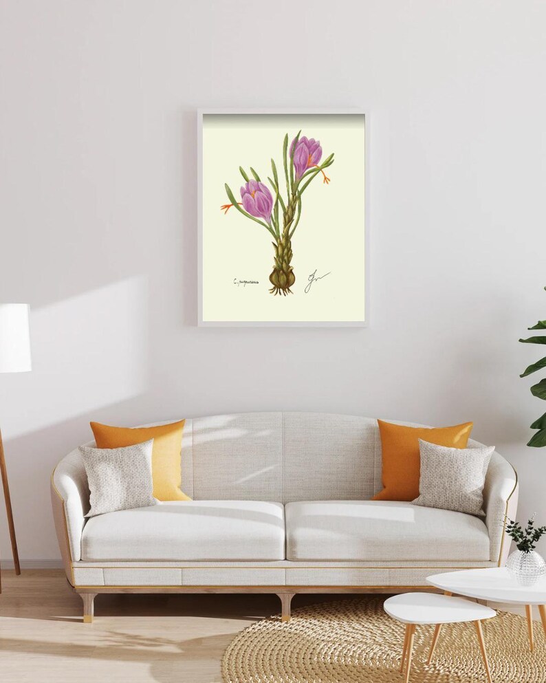 Crocus print in a white framed print on a white wall above a white couch