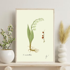 Lily of the Valley Print | Vintage Botanical Wall Art | Digital Download | Cottagecore Home Decor | Printable Illustration | Spring Flower