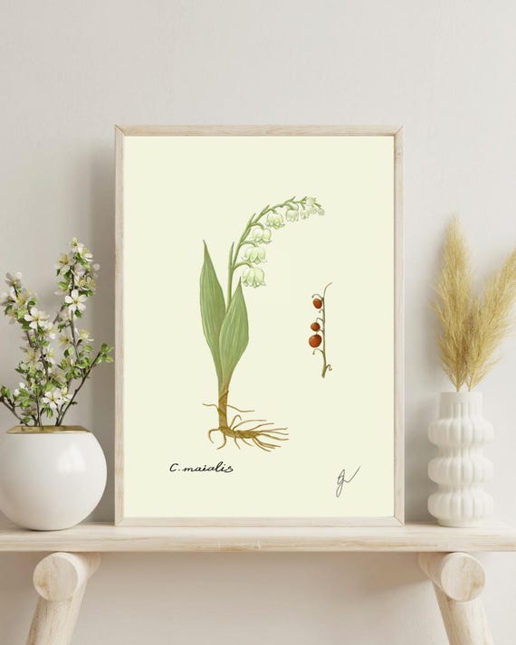 Lily of the Valley Print: Vintage Botanical Illustration (Digital Download)