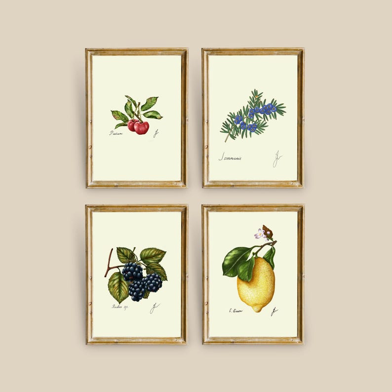 May include: Set of four botanical prints featuring illustrations of a lemon, blackberry, rosemary, and cherry. Each print is framed in a gold frame and has a white background.