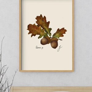 Quercus print in a wooden framed print above a bed