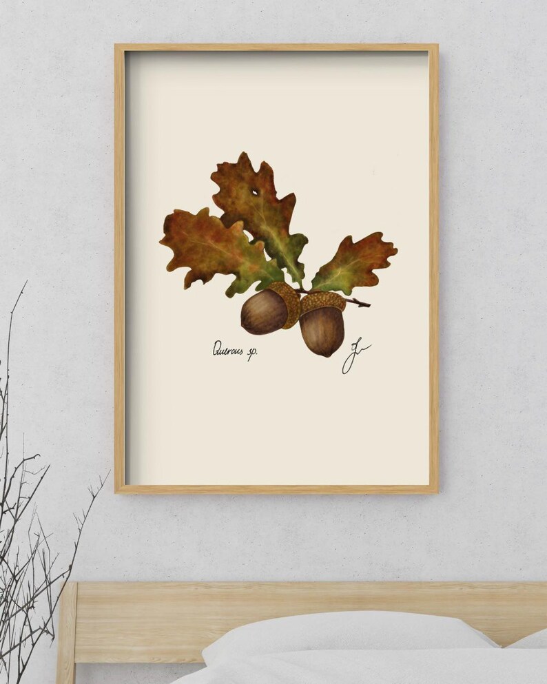 Quercus print in a wooden framed print above a bed