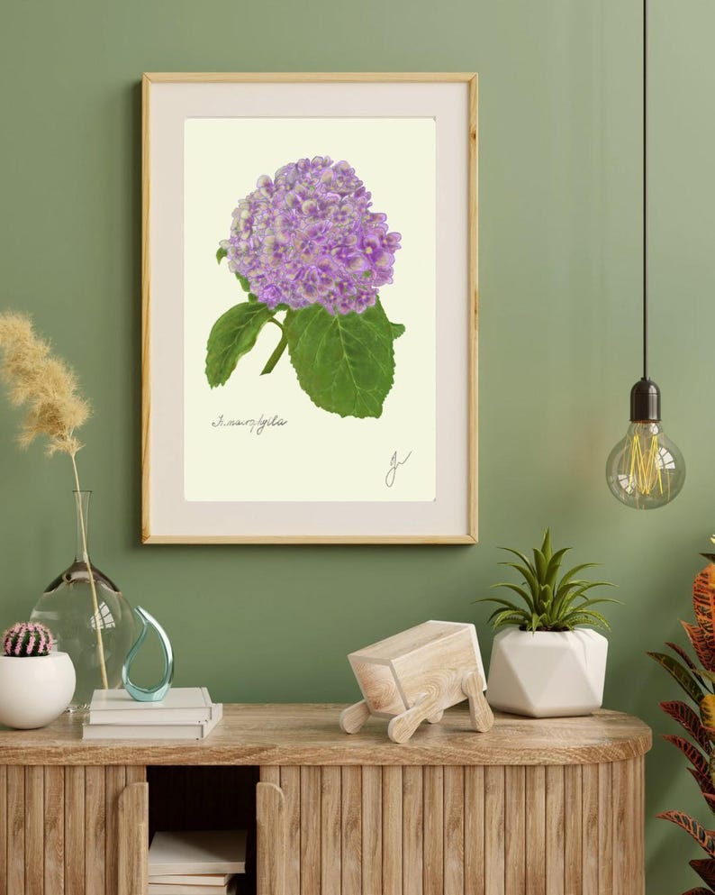 Hortensia print in a wooden frame with white passpartout hanging on a green wall above the dresser