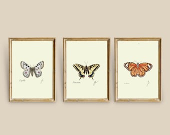 Set di 3 stampe di farfalle / Download digitale di arte murale entomologica