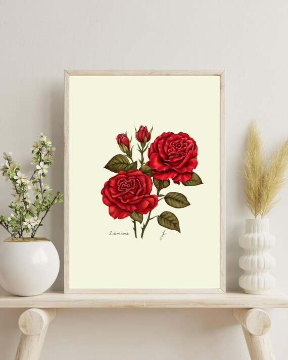 Vintage Rose Botanical Print: French Country Wall Art (Digital Download)