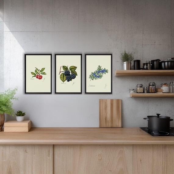 Rustic Blackberry Cherry Juniper Kitchen Print Set: Moody Orchard Art (Digital Download