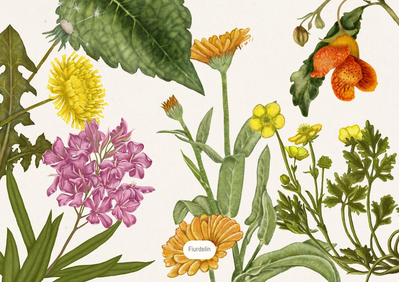 2026 Botanical Wall Calendar | Art Nouveau Floral Print (Digital Download) image 7