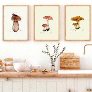 Mushroom Prints: Botanical Fungi Art, Forager Kitchen Decor (Digital Download) image 12