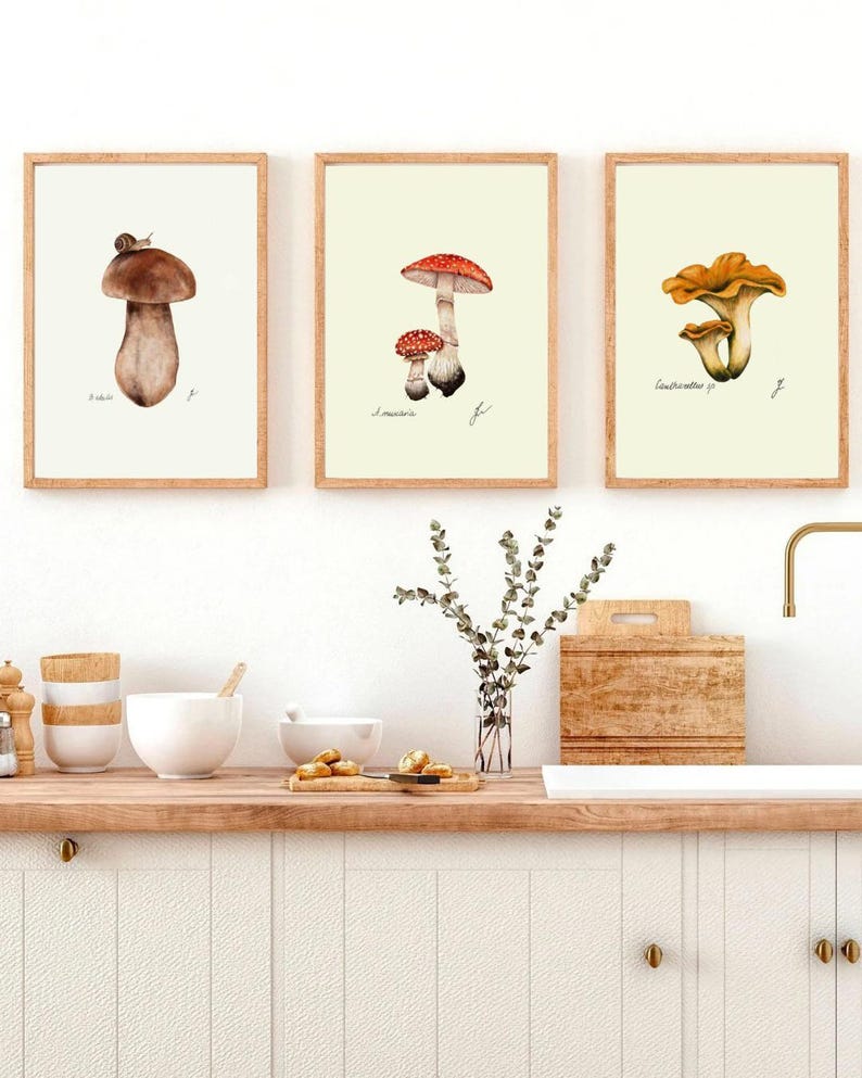 Mushroom Prints: Botanical Fungi Art, Forager Kitchen Decor (Digital Download) image 12
