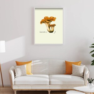 Chanterelle print in a white framed print on a white wall above a white couch