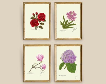 Flowering Shrub Print Set of 4 | Garden Wall Art Digital Download
