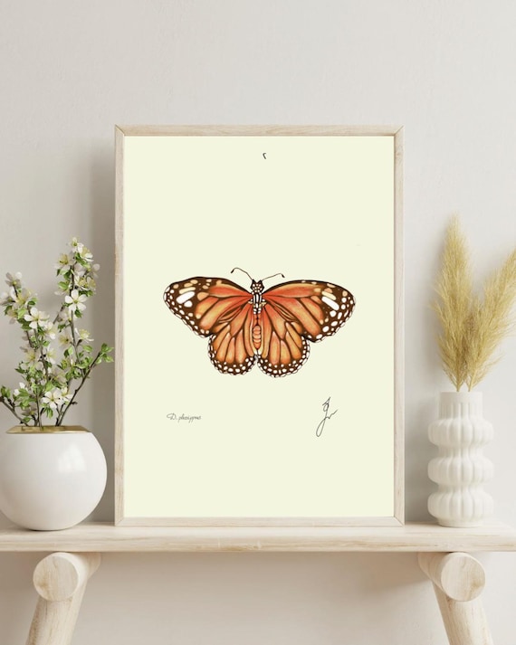Monarch Butterfly Vintage Illustration: Naturalist Wall Art (Digital Download)