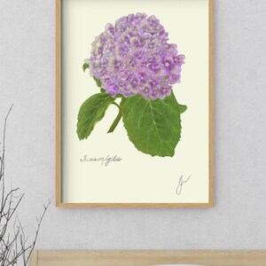 Hortensia print in a wooden framed print above a bed