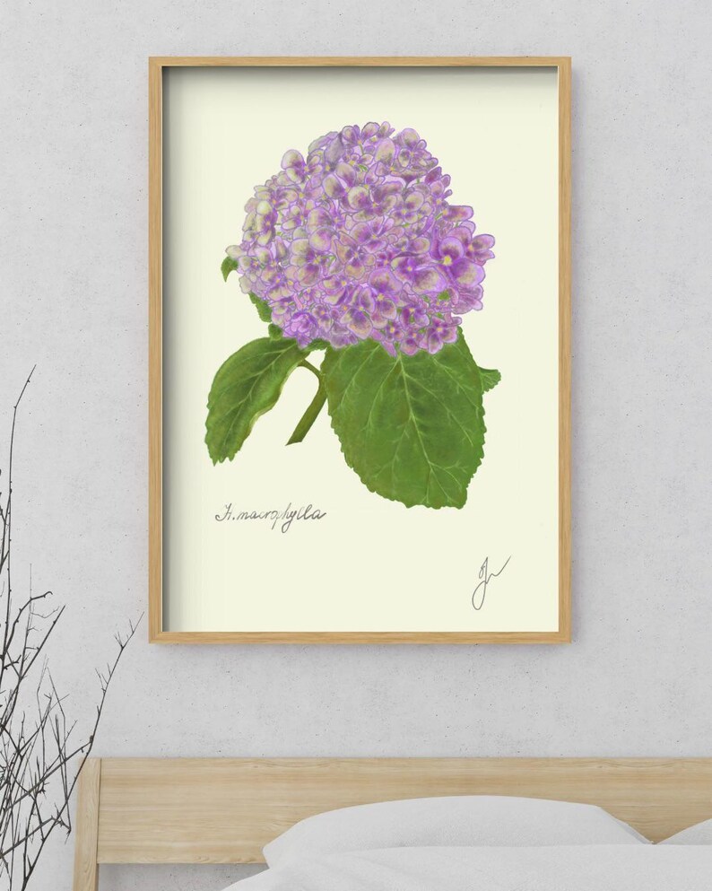 Hortensia print in a wooden framed print above a bed