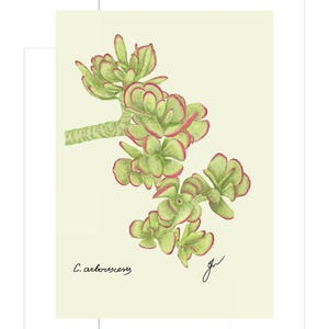 Jade print example as card