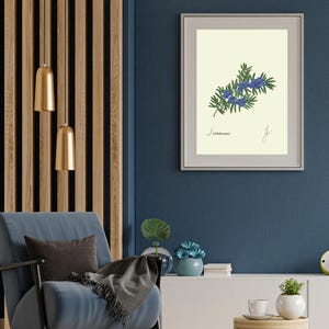Juniper print in a white frame with passpartout hanging on a blue wall