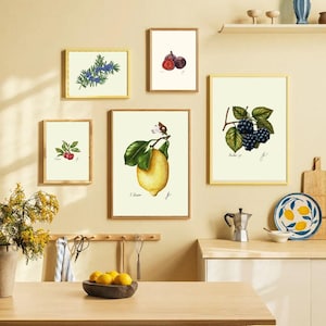May include: A collection of framed botanical prints featuring illustrations of fruits and plants, including lemons, blackberries, and figs. The prints are displayed on a light beige wall, with a wooden countertop and kitchen accessories in the foreground.