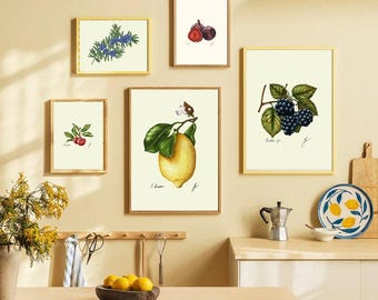 Botanical Fruit Prints: Kitchen Dining Room Wall Art (Digital Download)