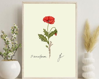 Poppy Print | Red Flower Botanical Art Digital Download