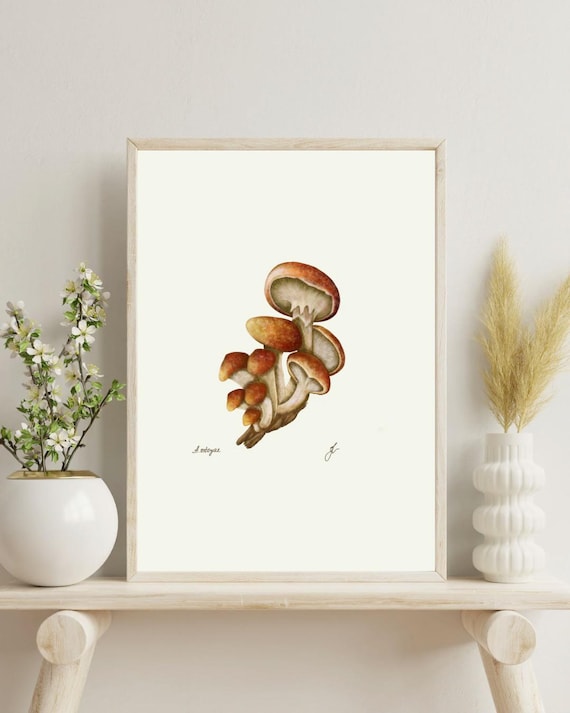 Honey Mushroom Botanical Print: Vintage Fungi Wall Art (Digital Download)
