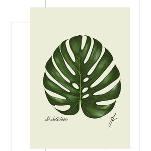 Monstera print example as card
