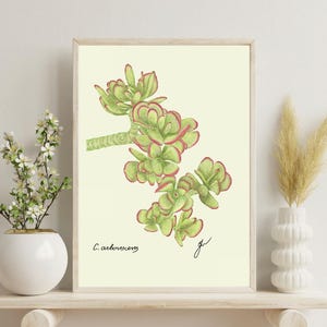 Jade print on a white shelf next to two white vases and a white background