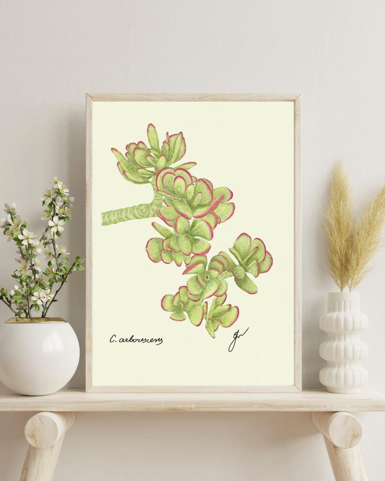 Jade print on a white shelf next to two white vases and a white background
