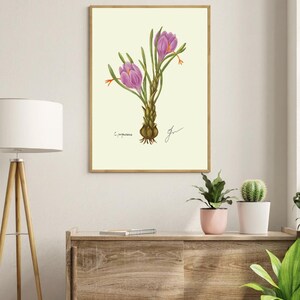 Crocus print in a wooden frame hanging on a white wall