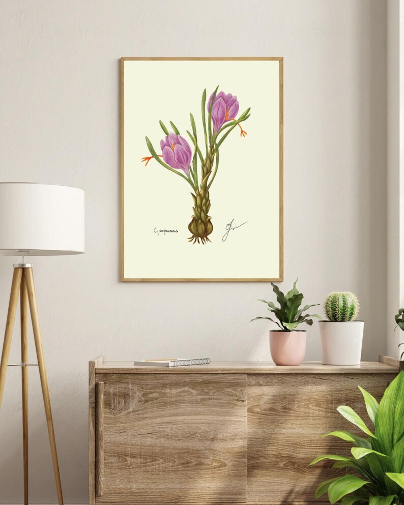 Crocus print in a wooden frame hanging on a white wall