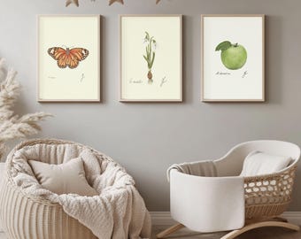 Botanische Kinderzimmer Wand Kunst 3er Set | Gender Neutrales Babyzimmer (Digitaler Download)