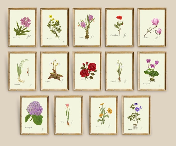 Spring Flower Print Set: Botanical Art, Garden Decor (Digital Download)