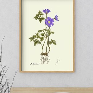 Anemone print in a wooden framed print above a bed