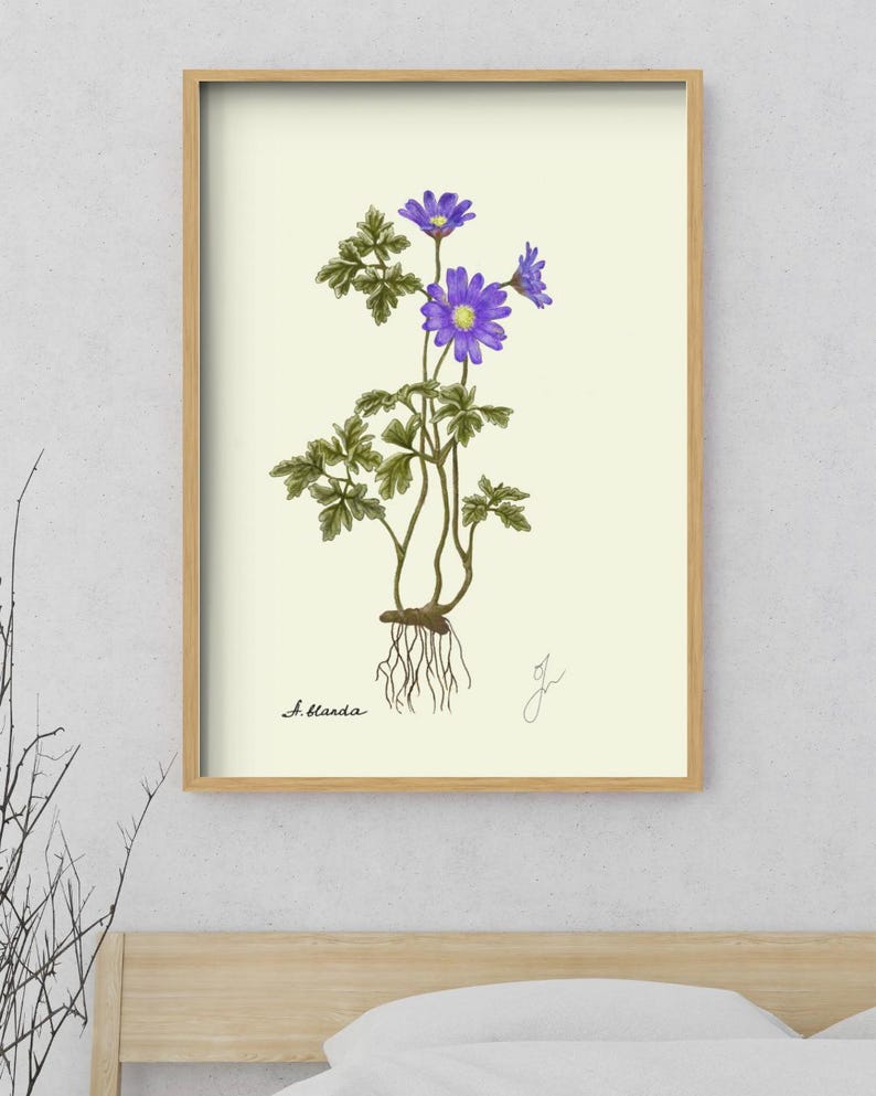 Anemone print in a wooden framed print above a bed