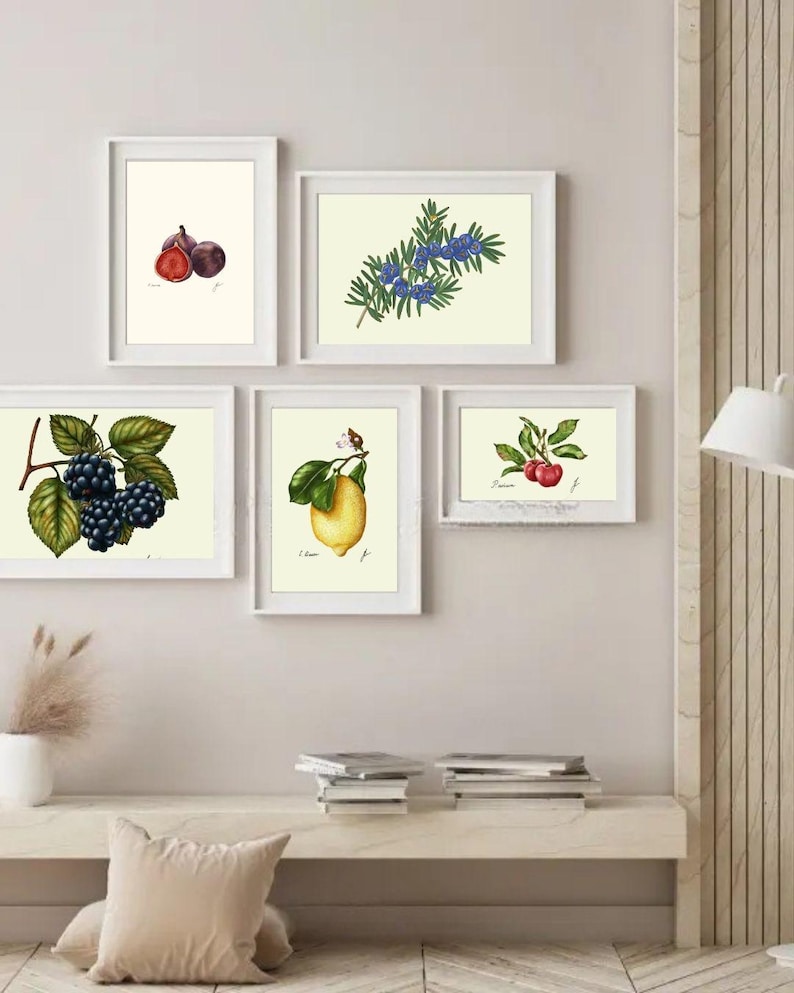 Botanical Fruit Prints: Kitchen Dining Room Wall Art (Digital Download) image 3