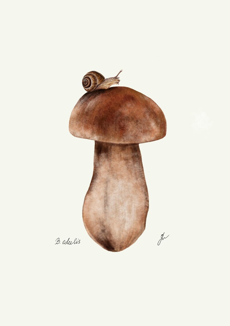 Mushroom Prints: Botanical Fungi Art, Forager Kitchen Decor (Digital Download) image 16