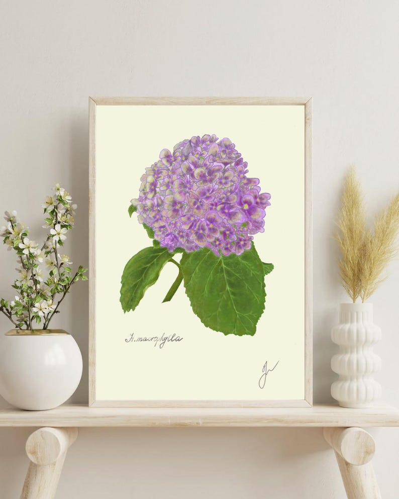 Hortensia print on a white shelf next to two white vases and a white background