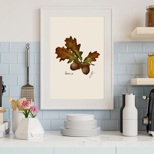 Quercus print in a white frame on a kitchen wall